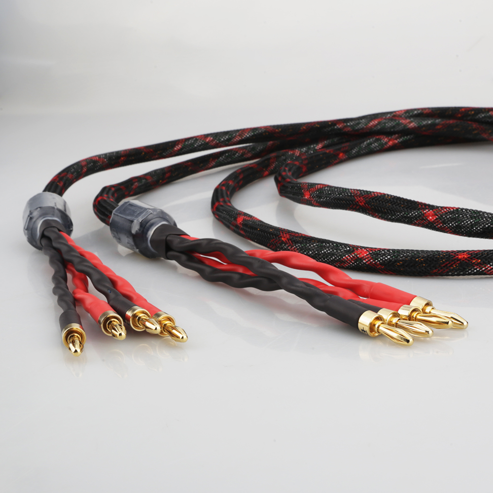 Câble de haut-parleur bi-wire  - Home Cinema Player avis et prix