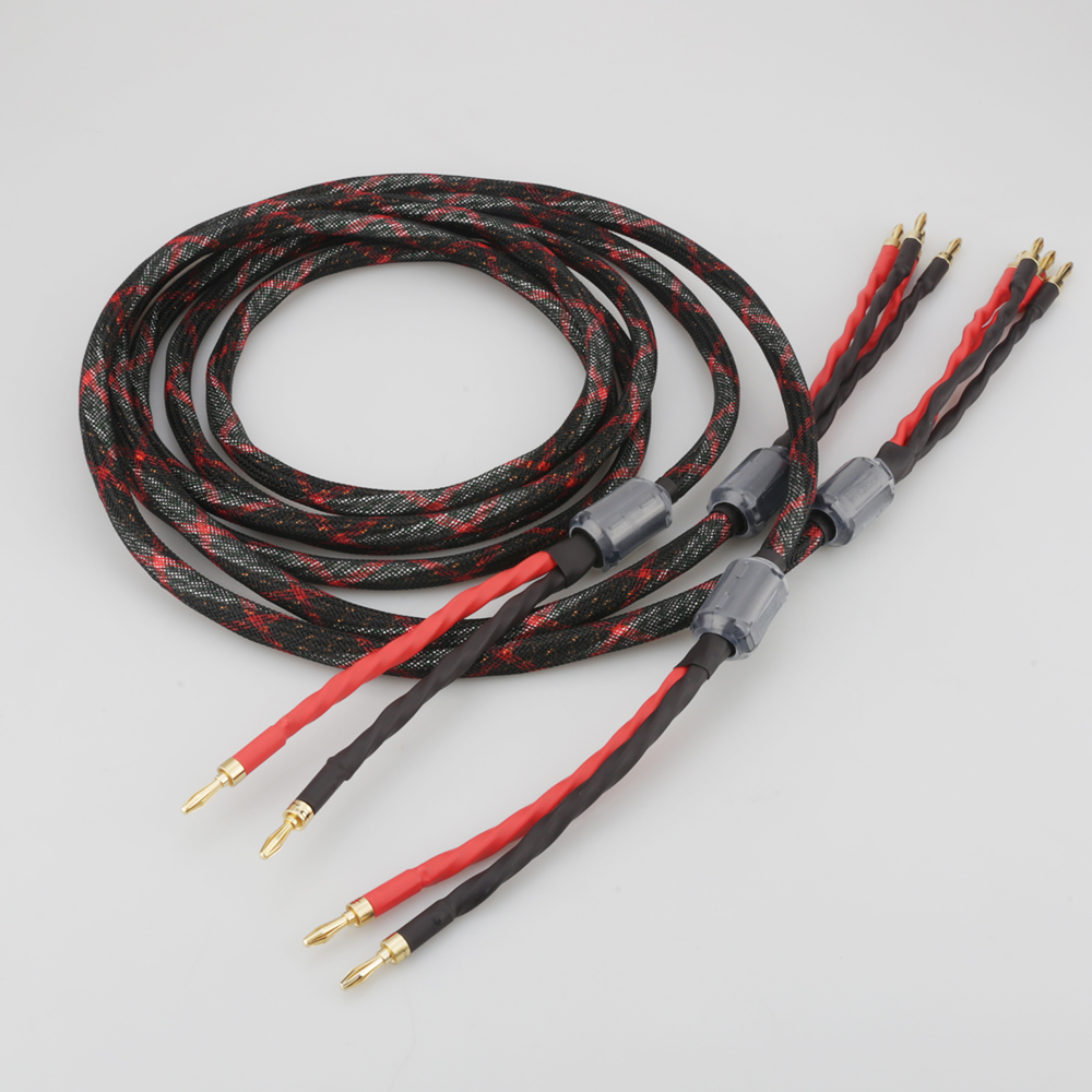 Câble de haut-parleur bi-wire  - Home Cinema Player avis et prix