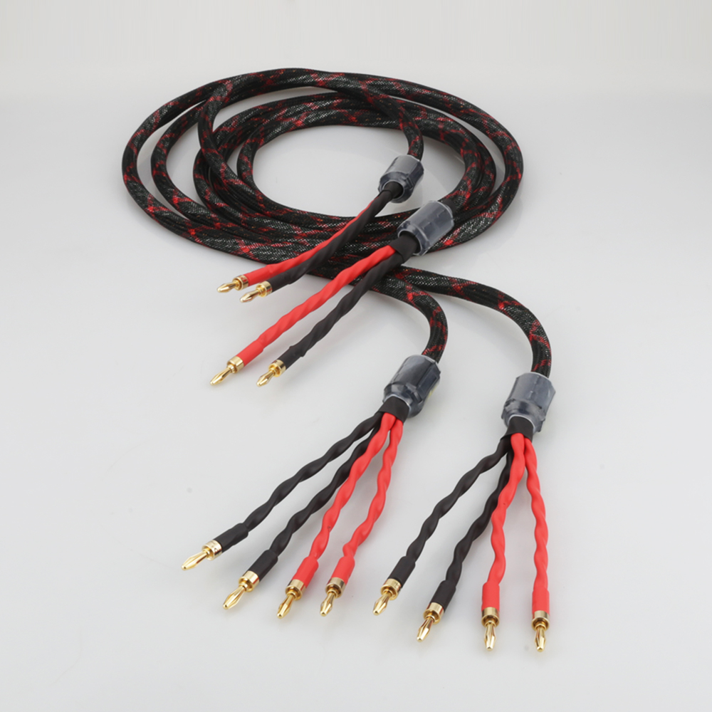 Câble de haut-parleur bi-wire  - Home Cinema Player avis et prix