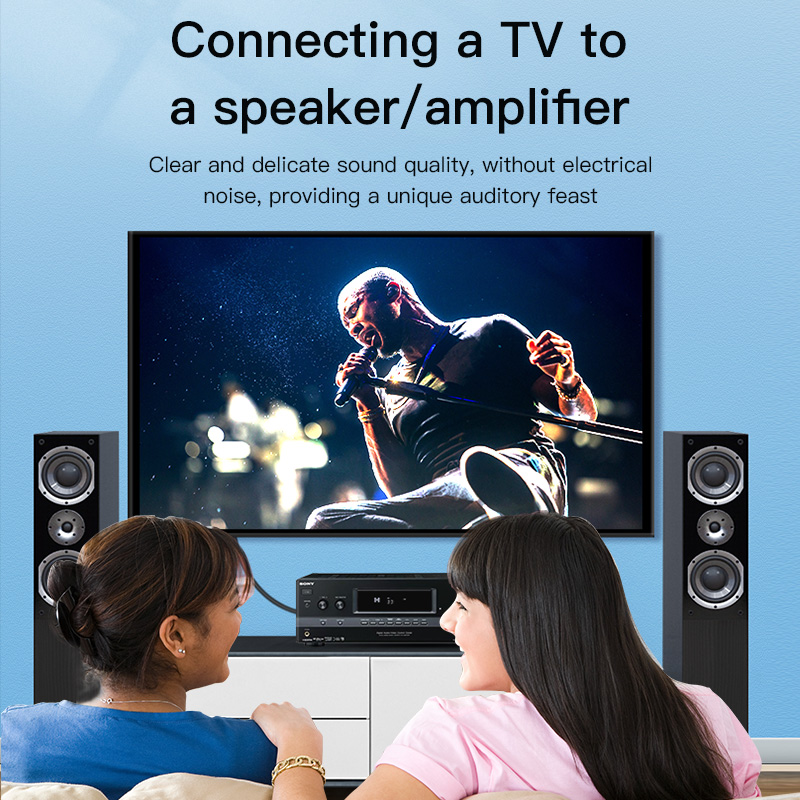 Câble RCA CHOSEAL, câble audio - Home Cinema Player avis et prix