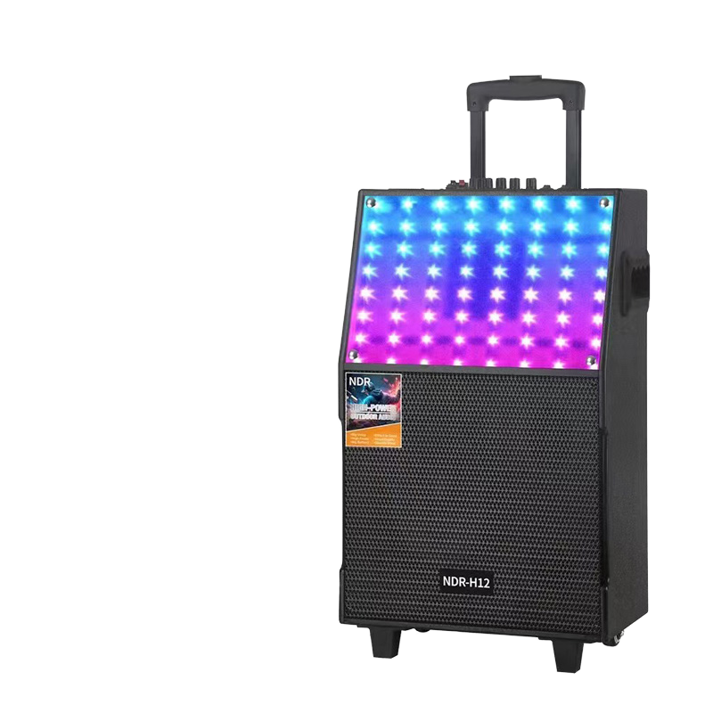 NDR-H12 Enceinte portable 12 p - Home Cinema Compact avis et prix