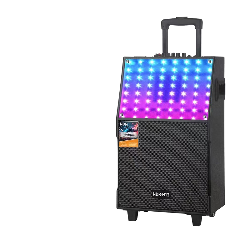 NDR-H12 Enceinte portable 12 p - Home Cinema Compact avis et prix